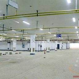 从交通设施到产业闭环 构建智慧出行新生态