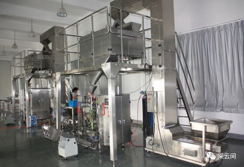 采购设施助畅行 聚焦「采云间工厂」周边交通“脉动”品质升级进行时